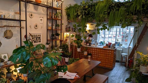 Beyoğlu’nda ders çalışabileceğiniz 7 kafe