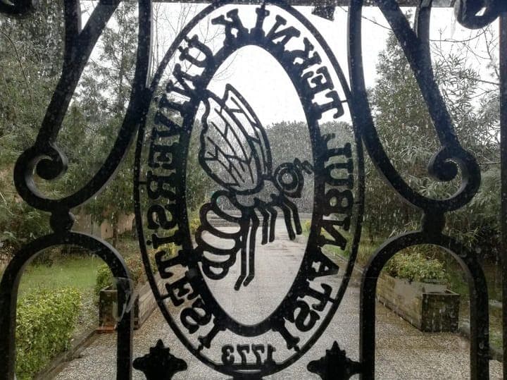 5 yıldızlı vize ödevi