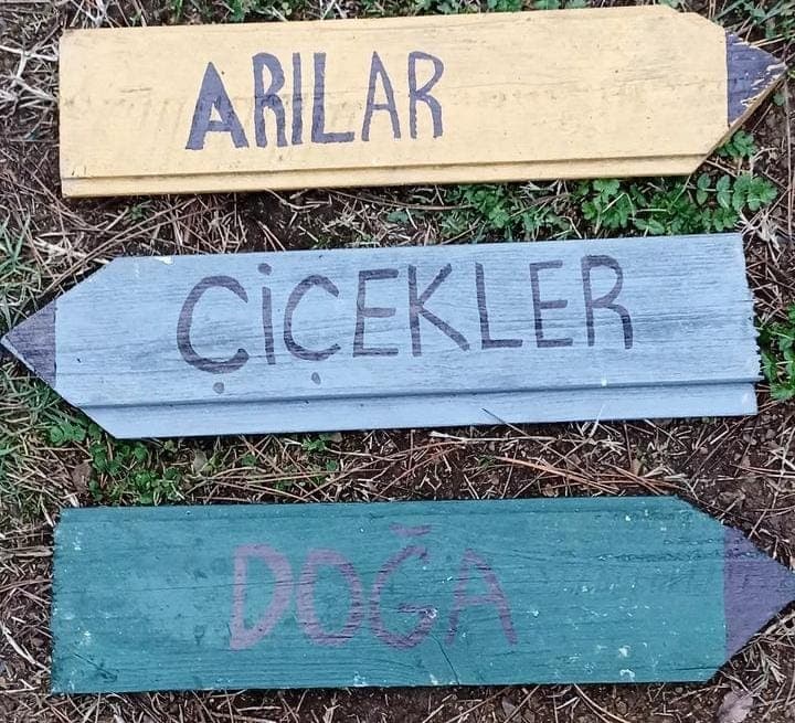 Mercek: itunun.doğası.1773