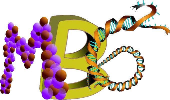 8. Uluslararası İTÜ Moleküler Biyoloji ve Genetik Kongresi