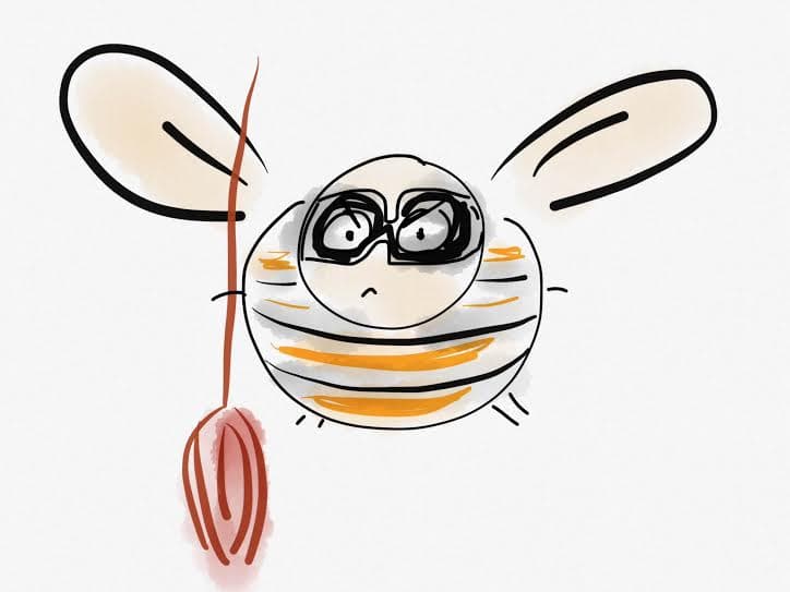 İTÜ'lü mugglelar: Quidditch Topluluğu