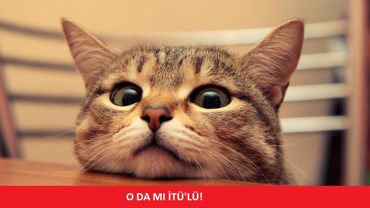 İTÜ101: Bu sefer de Türkiye tarihine yön veren 12 İTÜ'lü