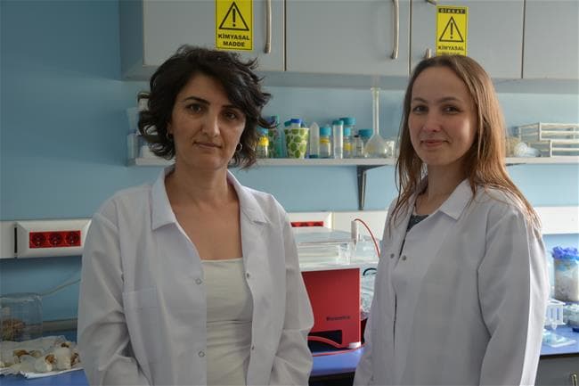 İTÜ New Scientist'te