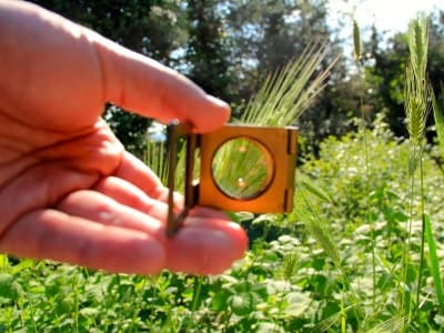 Yeşil Kampüs Tam Gaz