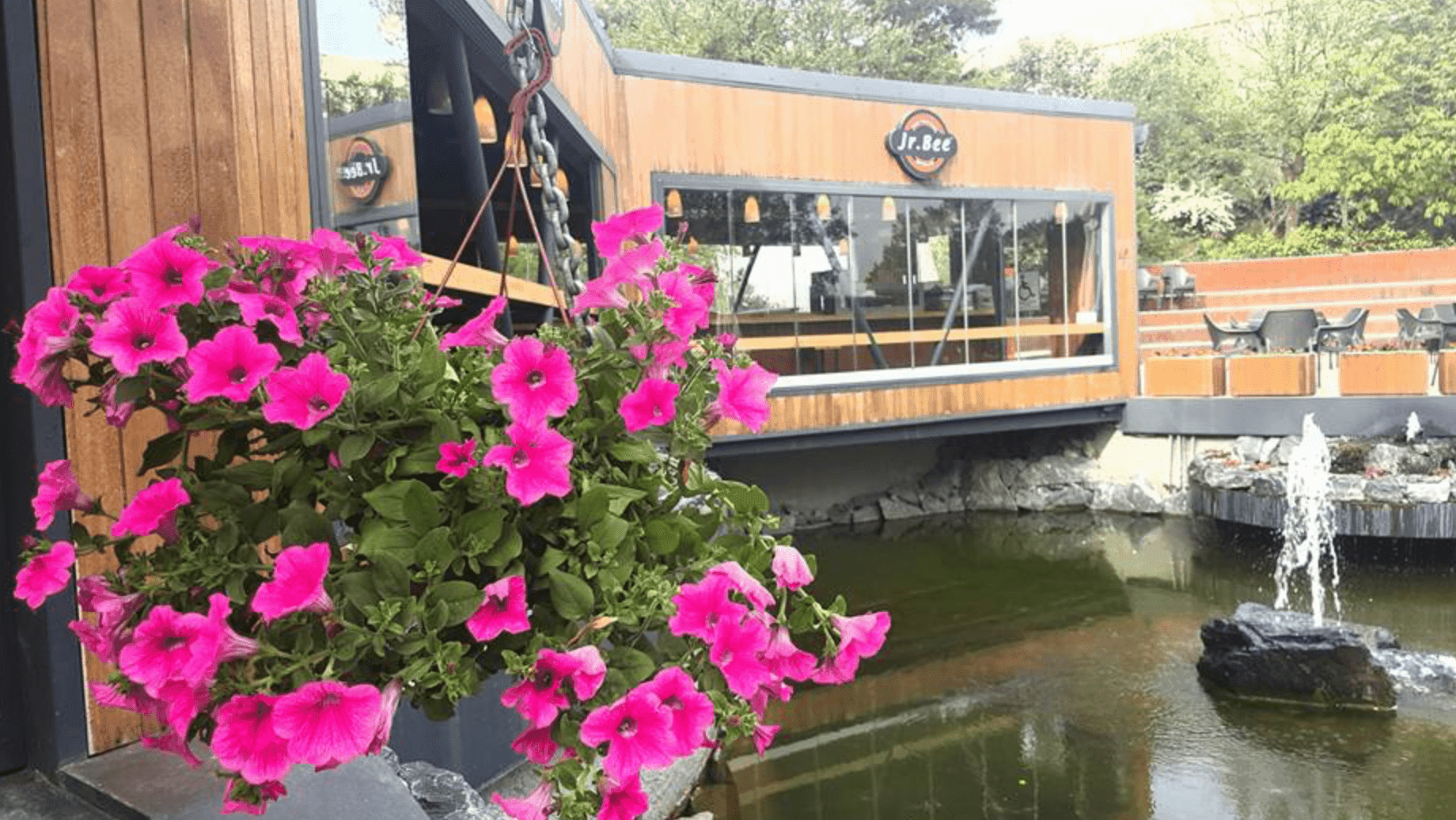 Jr. Bee'nin yerine sosyal araştırma laboratuvarı: Tahliye gerekçesi çelişiyor